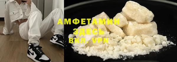PSILOCYBIN Алзамай