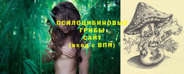 PSILOCYBIN Алзамай
