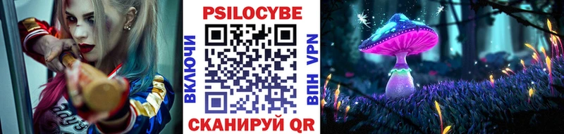закладка Рубцовск Псилоцибиновые грибы мухоморы