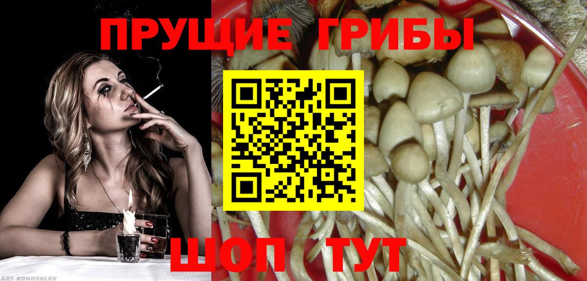 Псилоцибиновые грибы Psilocybine cubensis  Вход с VPN  Рубцовск 
