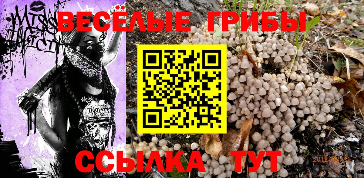 Псилоцибиновые грибы MAGIC MUSHROOMS Рубцовск
